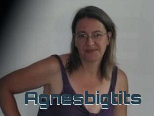 Agnesbigtits