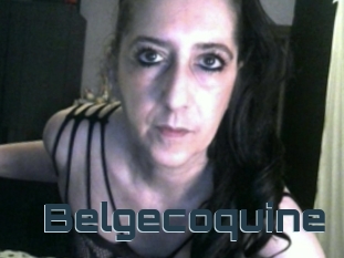 Belgecoquine