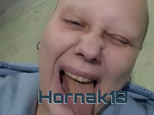 Hornak18