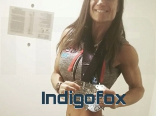 Indigofox