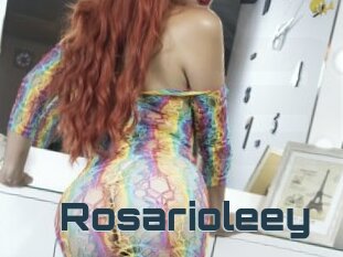 Rosarioleey