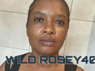 WILD_ROSEY40